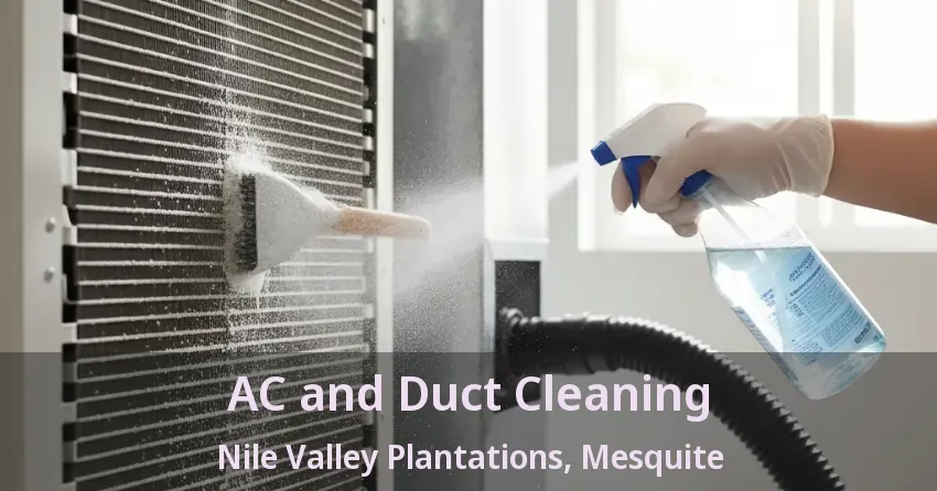AC and Duct Cleaning Nile Valley Plantations, Mesquite - TX AC and Duct Cleaning Nile Valley Plantations, Mesquite - TX