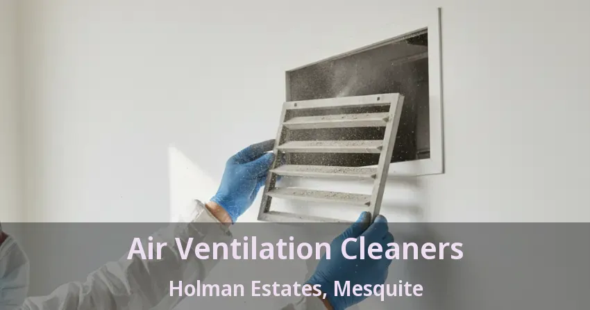 Air Ventilation Cleaners Holman Estates, Mesquite - TX