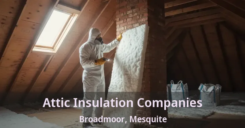 Attic Insulation Companies Broadmoor, Mesquite - TX Attic Insulation Companies Broadmoor, Mesquite - TX