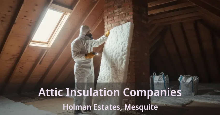 Attic Insulation Companies Holman Estates, Mesquite - TX Attic Insulation Companies Holman Estates, Mesquite - TX
