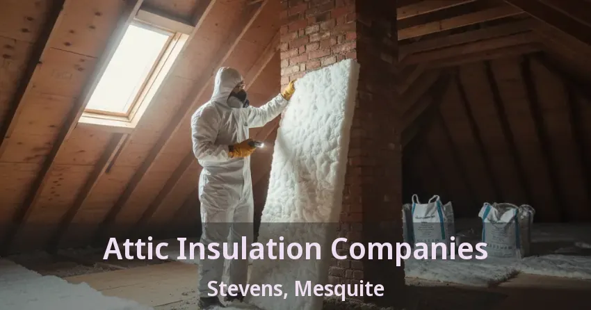 Attic Insulation Companies Stevens, Mesquite - TX Attic Insulation Companies Stevens, Mesquite - TX