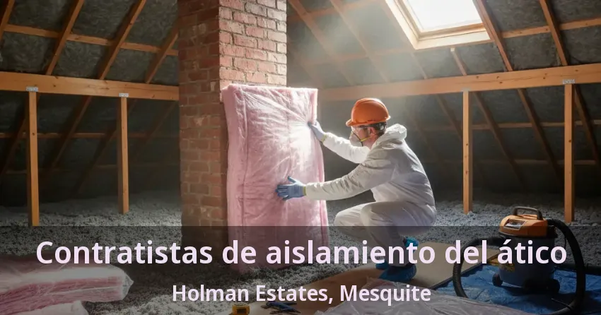 Contratistas de aislamiento del ático Holman Estates, Mesquite - TX Contratistas de aislamiento del ático Holman Estates, Mesquite - TX