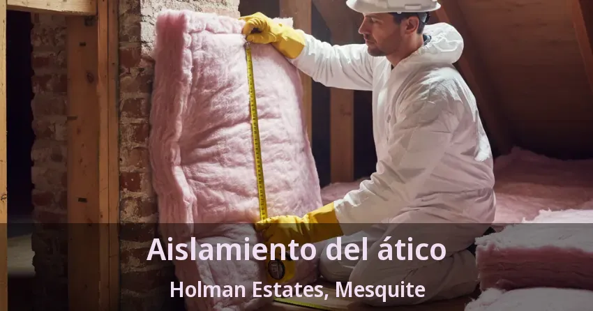 Aislamiento del ático Holman Estates, Mesquite - TX
