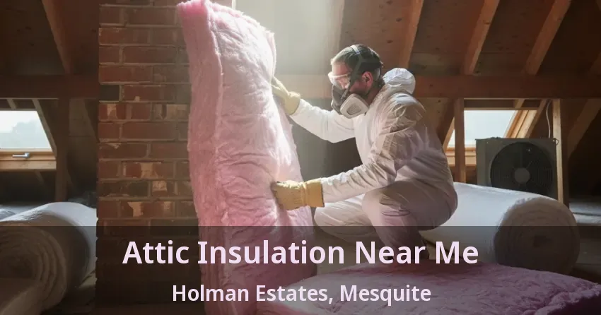 Attic Insulation Near Me Holman Estates, Mesquite - TX