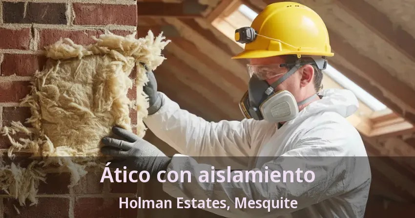 Ático con aislamiento Holman Estates, Mesquite - TX