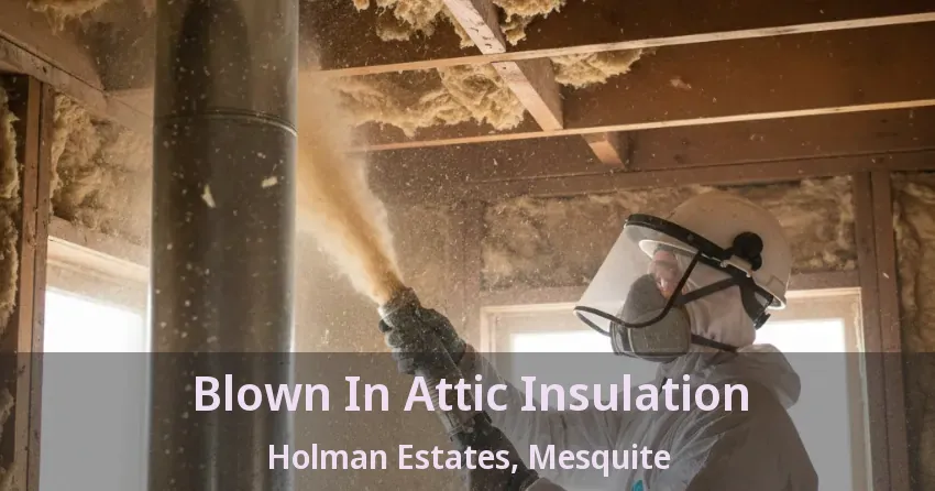 Blown In Attic Insulation Holman Estates, Mesquite - TX