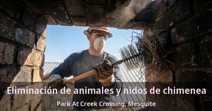 Eliminación de animales y nidos de chimenea Park At Creek Crossing, Mesquite - TX Eliminación de animales y nidos de chimenea Park At Creek Crossing, Mesquite - TX