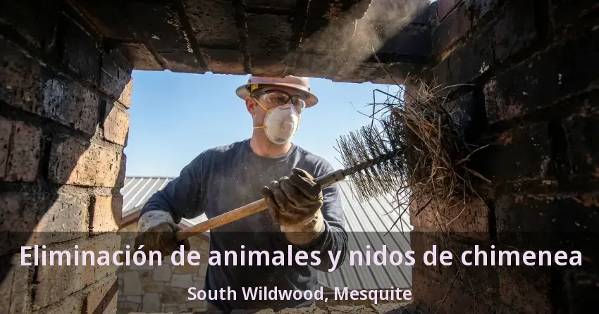Eliminación de animales y nidos de chimenea South Wildwood, Mesquite - TX Eliminación de animales y nidos de chimenea South Wildwood, Mesquite - TX