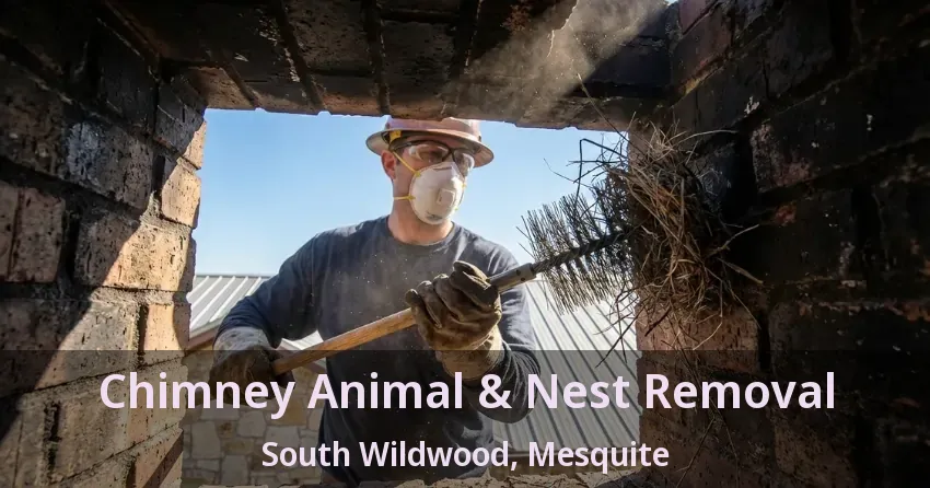 Chimney Animal & Nest Removal South Wildwood, Mesquite - TX