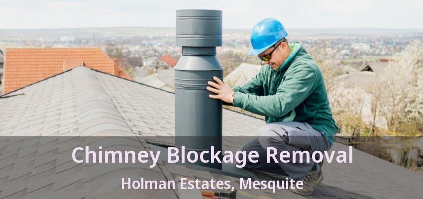Chimney Blockage Removal Holman Estates, Mesquite - TX