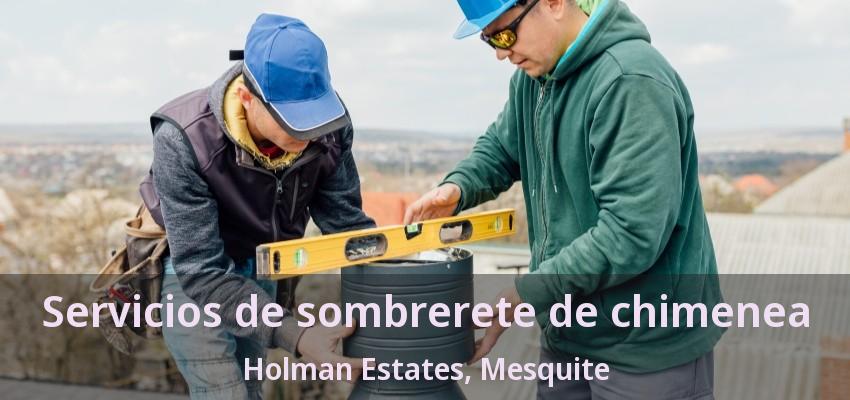 Servicios de sombrerete de chimenea Holman Estates, Mesquite - TX