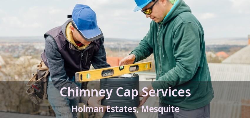 Chimney Cap Services Holman Estates, Mesquite - TX Chimney Cap Services Holman Estates, Mesquite - TX
