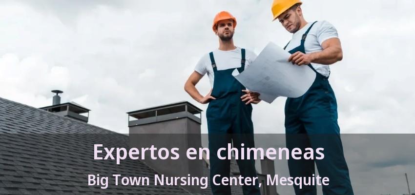 Expertos en chimeneas Big Town Nursing Center, Mesquite - TX Expertos en chimeneas Big Town Nursing Center, Mesquite - TX