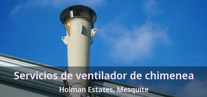 Servicios de ventilador de chimenea Holman Estates, Mesquite - TX Servicios de ventilador de chimenea Holman Estates, Mesquite - TX
