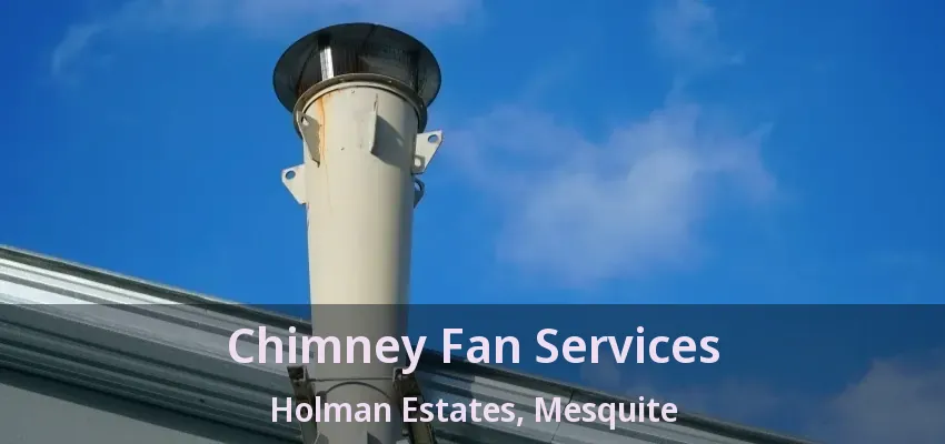 Chimney Fan Services Holman Estates, Mesquite - TX
