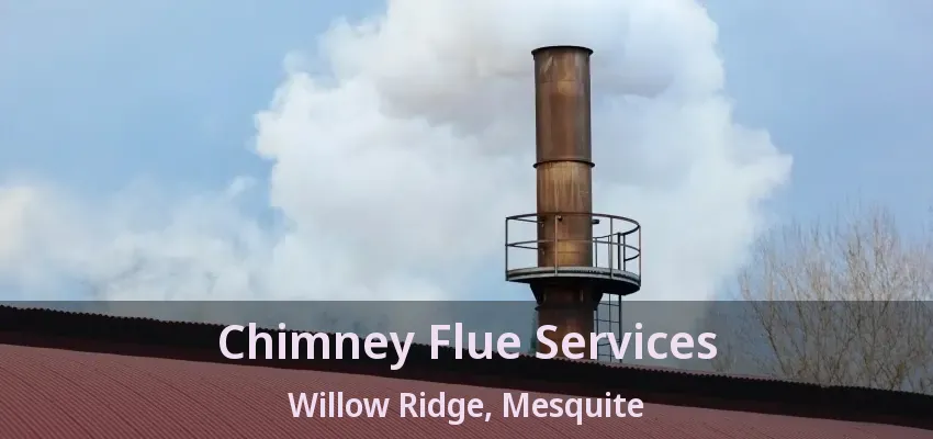 Chimney Flue Services Willow Ridge, Mesquite - TX