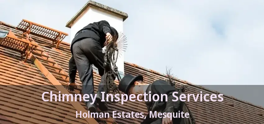 Chimney Inspection Services Holman Estates, Mesquite - TX