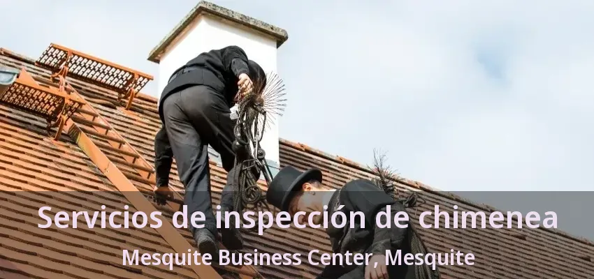 Servicios de inspección de chimenea Mesquite Business Center, Mesquite - TX