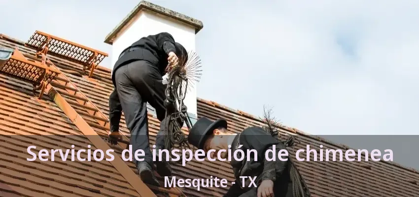 Servicios de inspección de chimenea Mesquite - TX