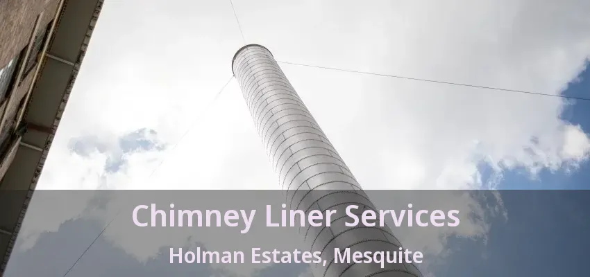 Chimney Liner Services Holman Estates, Mesquite - TX