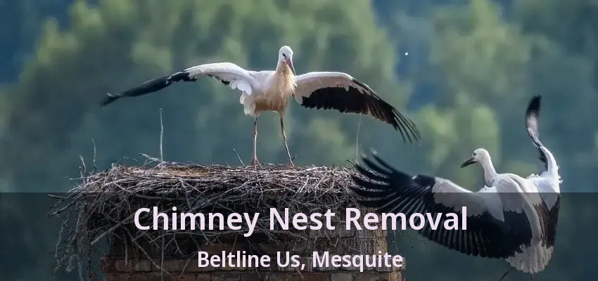 Chimney Nest Removal Beltline Us, Mesquite - TX