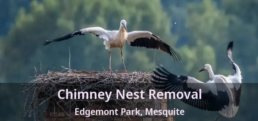 Chimney Nest Removal Edgemont Park, Mesquite - TX