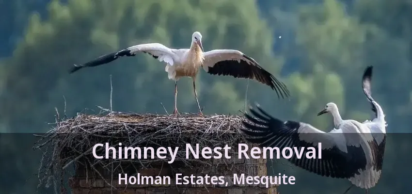 Chimney Nest Removal Holman Estates, Mesquite - TX Chimney Nest Removal Holman Estates, Mesquite - TX