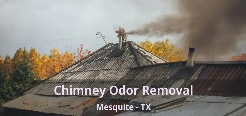 Chimney Odor Removal Mesquite - TX Chimney Odor Removal Mesquite - TX
