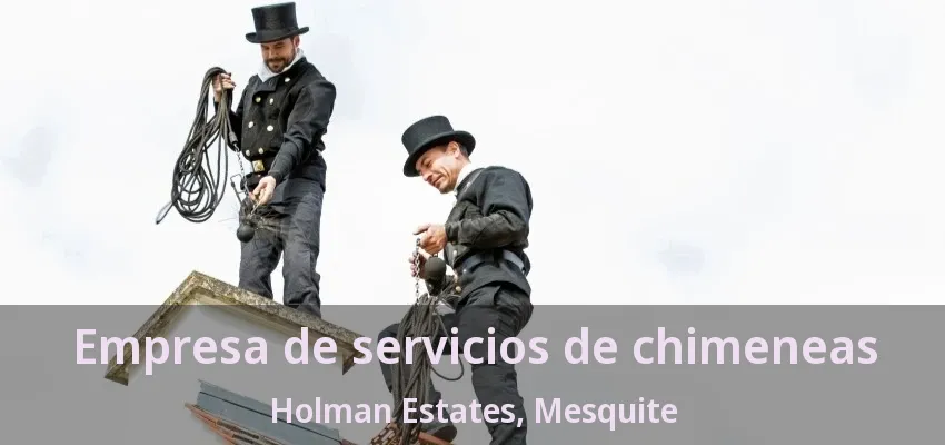 Empresa de servicios de chimeneas Holman Estates, Mesquite - TX Empresa de servicios de chimeneas Holman Estates, Mesquite - TX