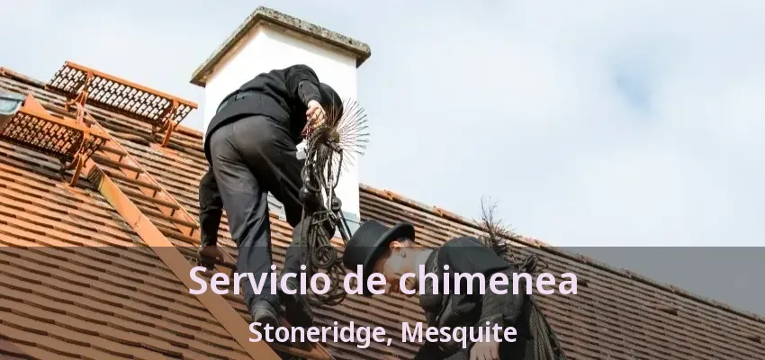 Servicio de chimenea Stoneridge, Mesquite - TX