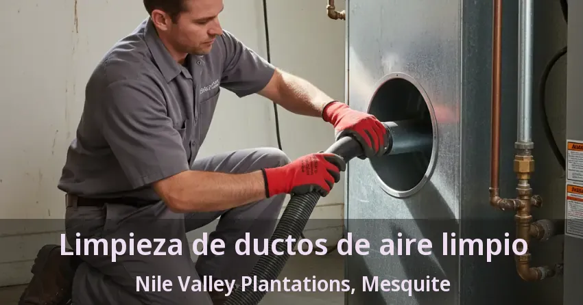 Limpieza de ductos de aire limpio Nile Valley Plantations, Mesquite - TX