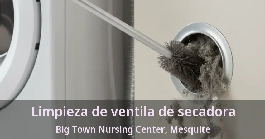 Limpieza de ventila de secadora Big Town Nursing Center, Mesquite - TX