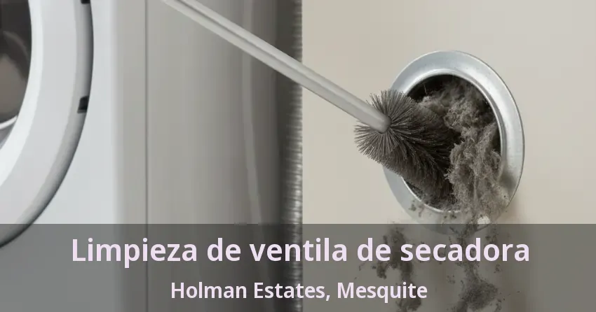 Limpieza de ventila de secadora Holman Estates, Mesquite - TX Limpieza de ventila de secadora Holman Estates, Mesquite - TX