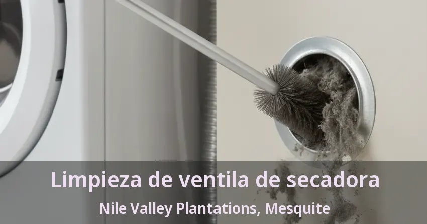Limpieza de ventila de secadora Nile Valley Plantations, Mesquite - TX Limpieza de ventila de secadora Nile Valley Plantations, Mesquite - TX