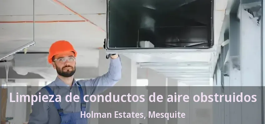 Limpieza de conductos de aire obstruidos Holman Estates, Mesquite - TX