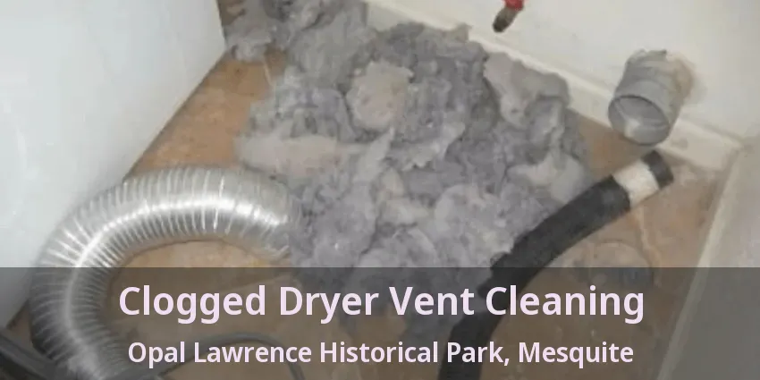 Clogged Dryer Vent Cleaning Opal Lawrence Historical Park, Mesquite - TX Clogged Dryer Vent Cleaning Opal Lawrence Historical Park, Mesquite - TX
