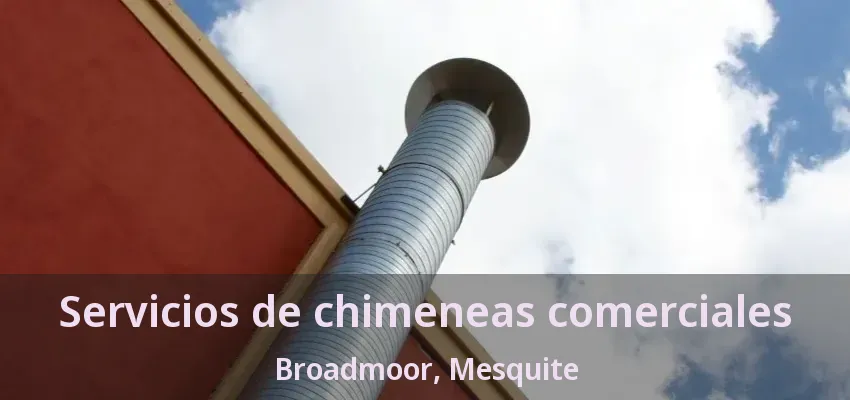 Servicios de chimeneas comerciales Broadmoor, Mesquite - TX