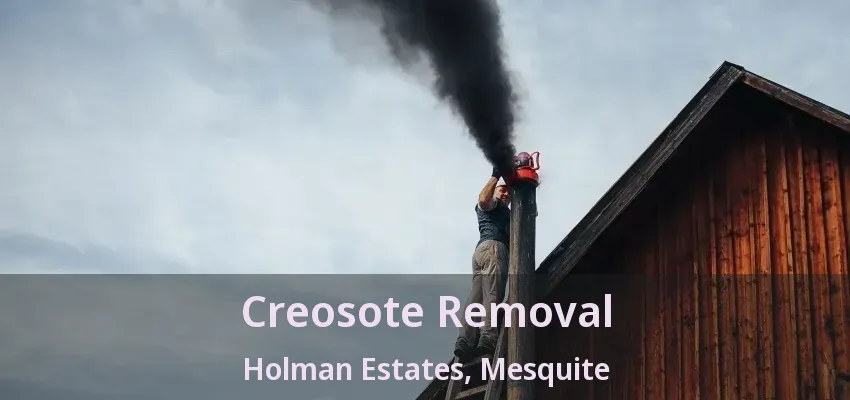 Creosote Removal Holman Estates, Mesquite - TX
