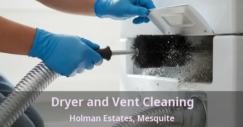 Dryer and Vent Cleaning Holman Estates, Mesquite - TX Dryer and Vent Cleaning Holman Estates, Mesquite - TX
