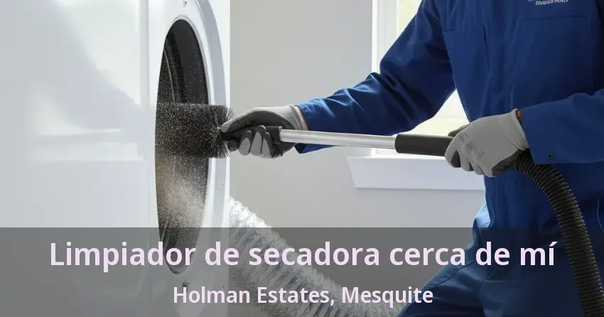 Limpiador de secadora cerca de mí Holman Estates, Mesquite - TX Limpiador de secadora cerca de mí Holman Estates, Mesquite - TX