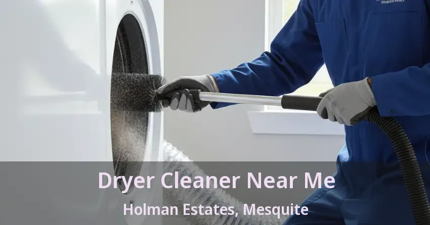 Dryer Cleaner Near Me Holman Estates, Mesquite - TX