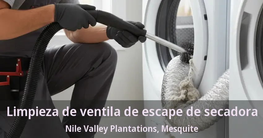 Limpieza de ventila de escape de secadora Nile Valley Plantations, Mesquite - TX