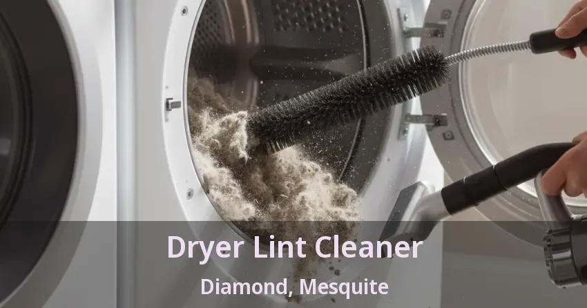 Dryer Lint Cleaner Diamond, Mesquite - TX Dryer Lint Cleaner Diamond, Mesquite - TX