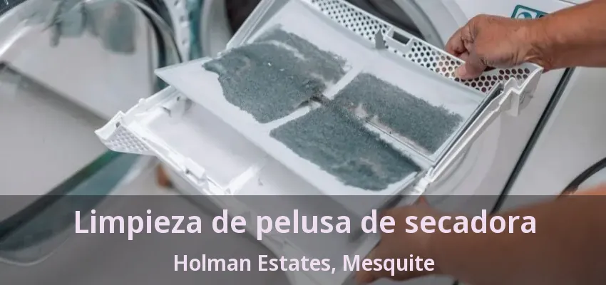 Limpieza de pelusa de secadora Holman Estates, Mesquite - TX