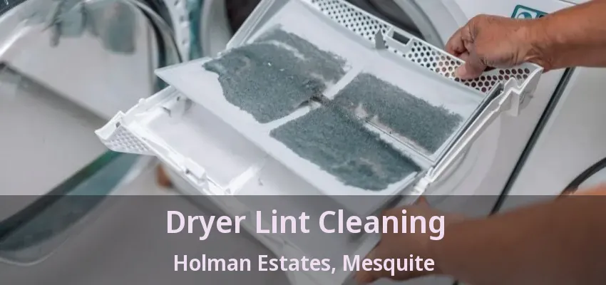 Dryer Lint Cleaning Holman Estates, Mesquite - TX Dryer Lint Cleaning Holman Estates, Mesquite - TX