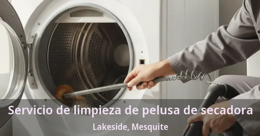 Servicio de limpieza de pelusa de secadora Lakeside, Mesquite - TX Servicio de limpieza de pelusa de secadora Lakeside, Mesquite - TX