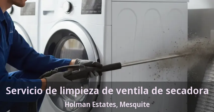 Servicio de limpieza de ventila de secadora Holman Estates, Mesquite - TX
