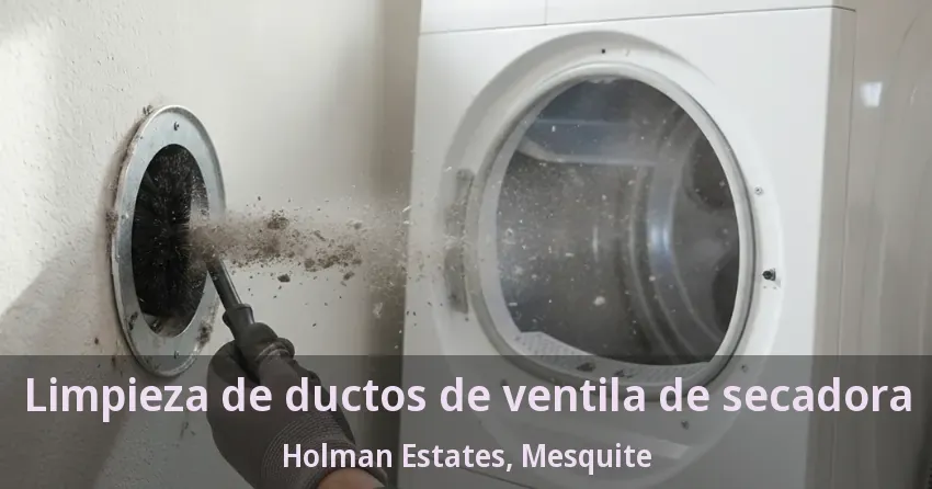 Limpieza de ductos de ventila de secadora Holman Estates, Mesquite - TX Limpieza de ductos de ventila de secadora Holman Estates, Mesquite - TX
