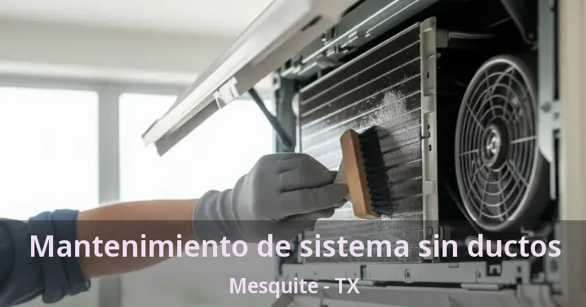 Mantenimiento de sistema sin ductos Mesquite - TX