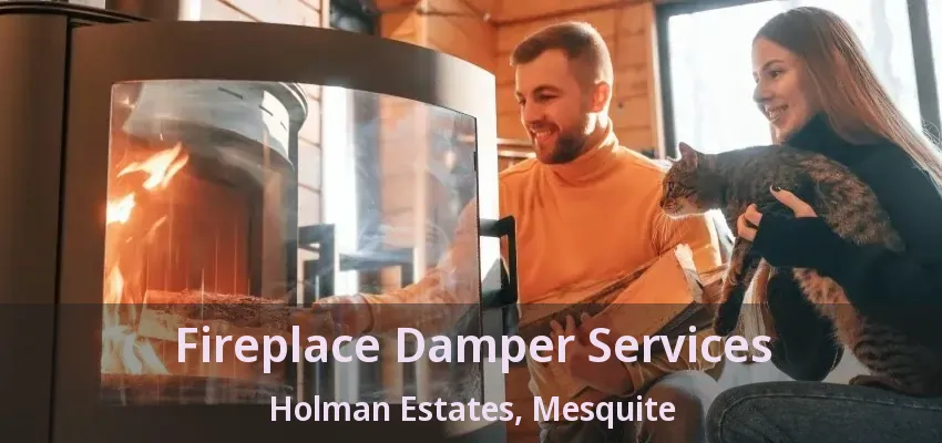 Fireplace Damper Services Holman Estates, Mesquite - TX